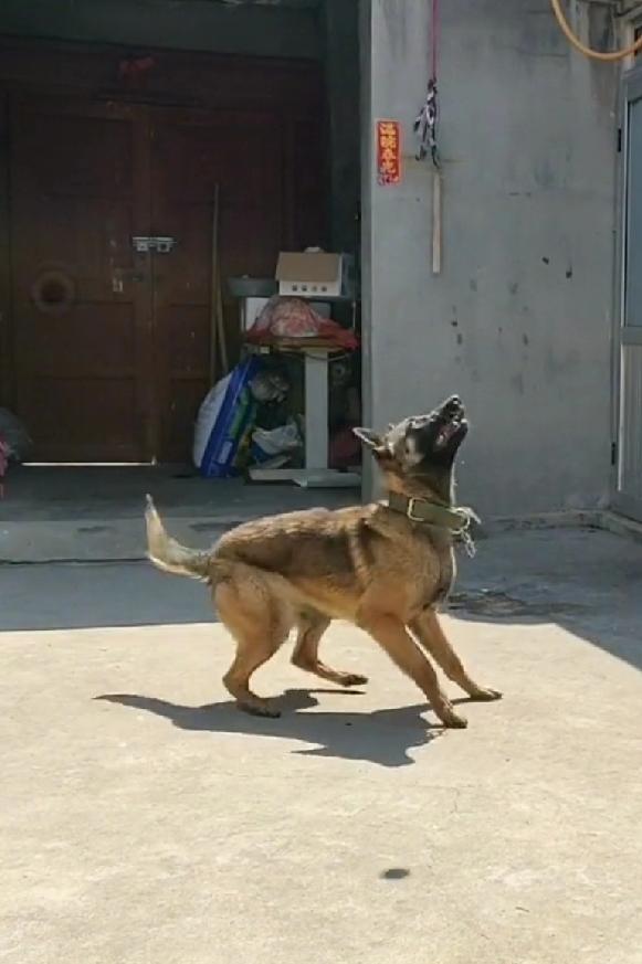 基本步法就几种：并步，交叉步，垫步，蹬跨步，跳，启动步。
把这些基本步法组合一下