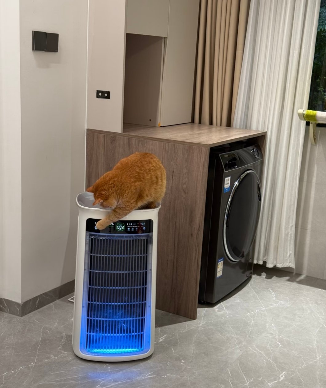 每天比我还忙，它不累的吗？