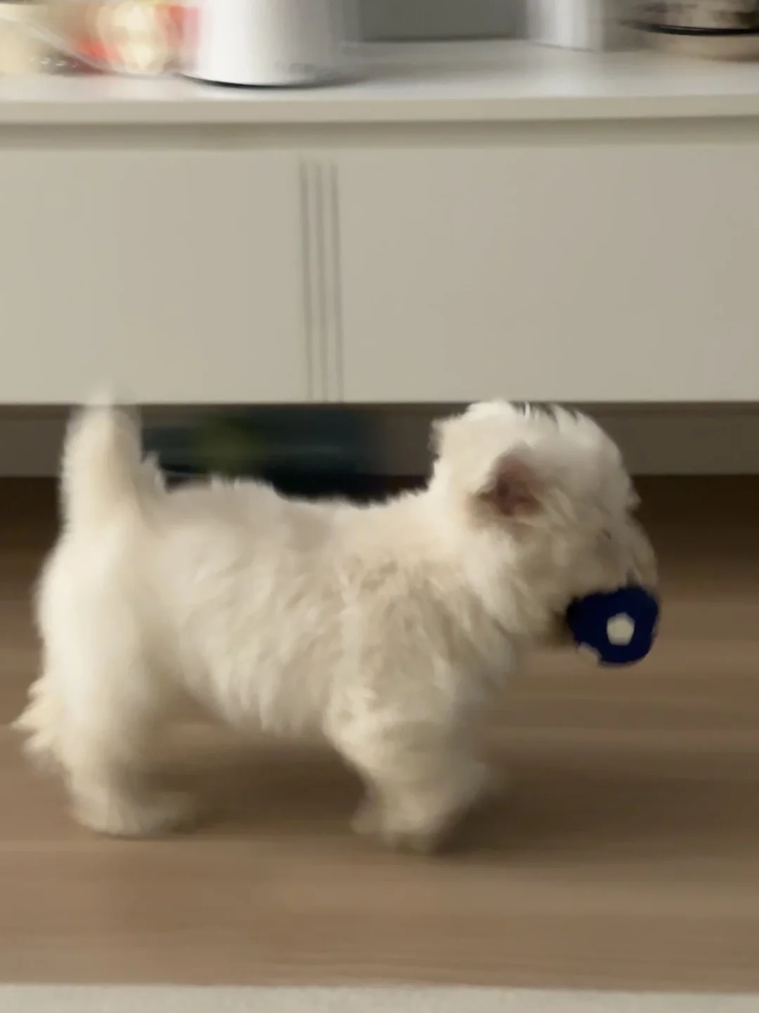 是谁还没儿女双全？