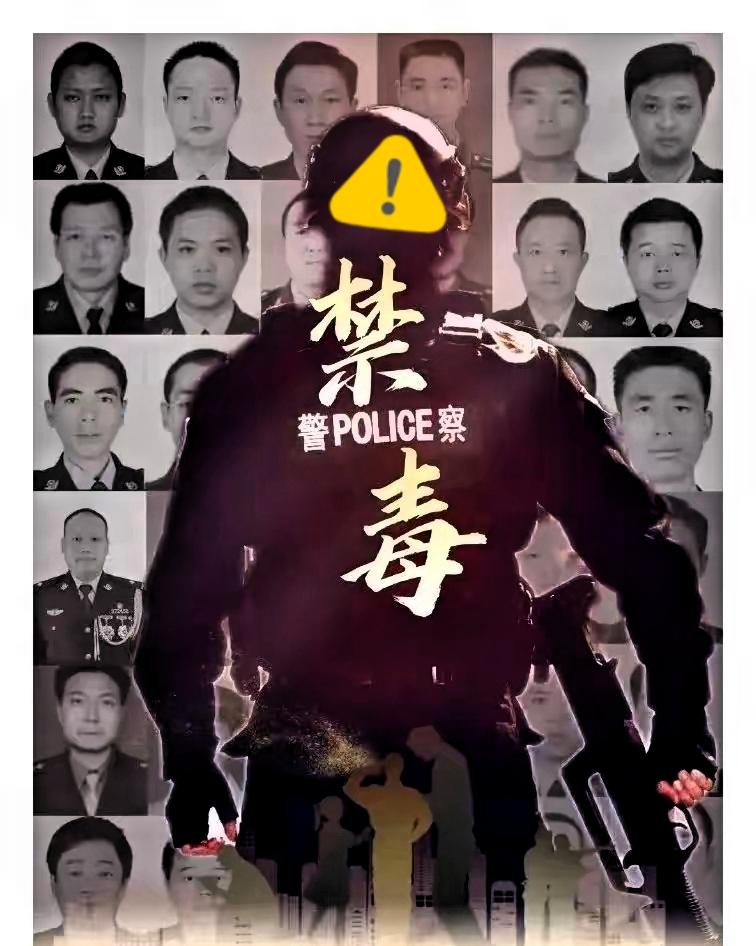云南日报连发了18条！中国禁毒，寸步不让！
我们后退一步，就会踩到缉毒烈士的尸骨