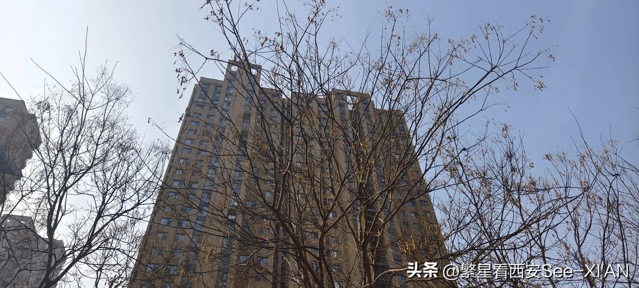 刚刚下了一天雨的西安，今天早晨天空蔚蓝，空气很清新。大家来看一看