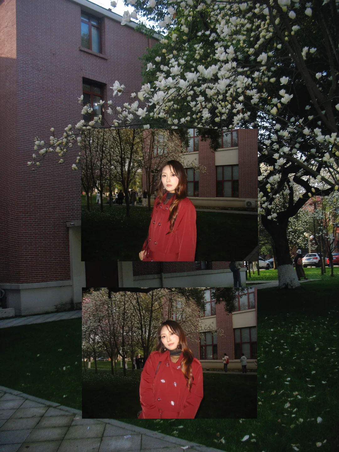 我在农大 很想跟你交换玉兰花的春天⋆˚✿˖°