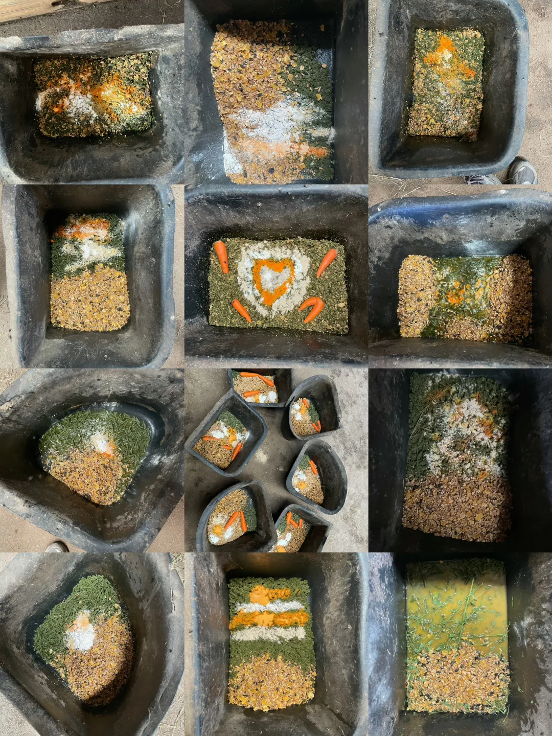 最近的小马加餐ASMR🌾🥕