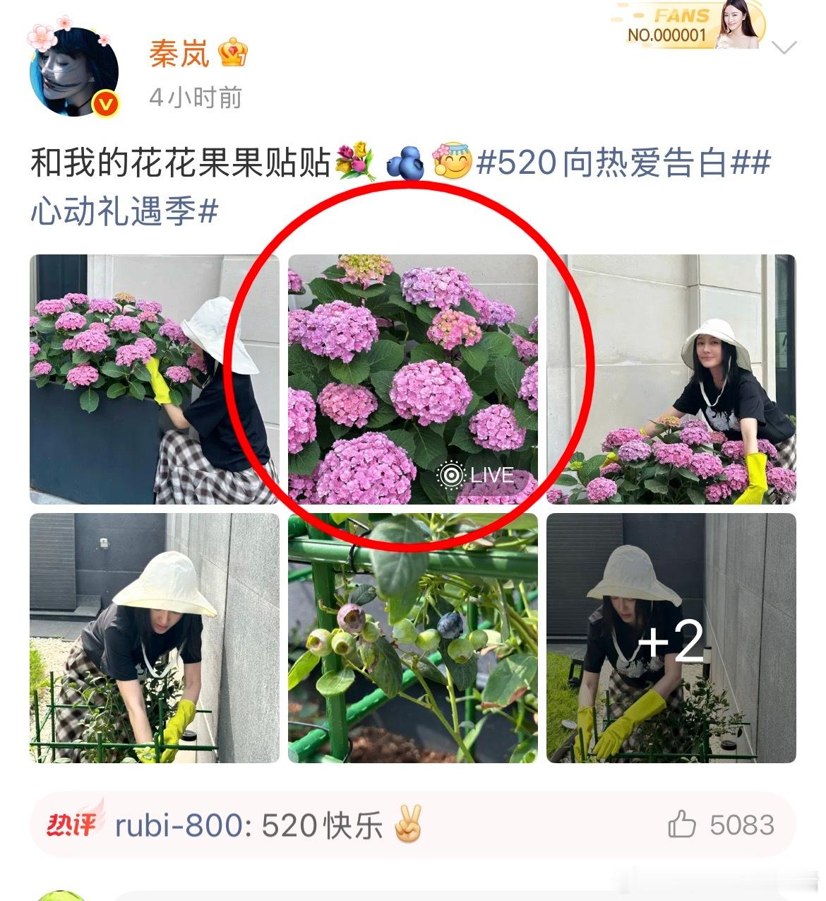 有粉丝发现秦岚520营业的live图的背景有魏大勋声音。大家听听这个是魏大勋的声