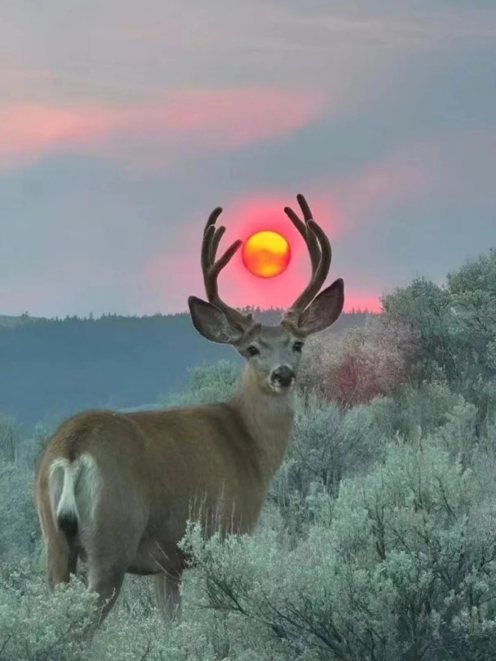 你的劫已经渡过，接下来一切都会顺利。 