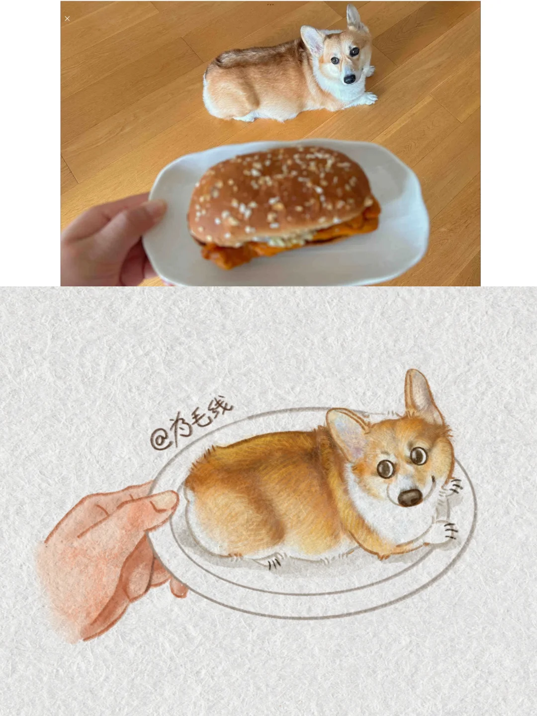 抓修狗‼️午餐来块小面包🍞