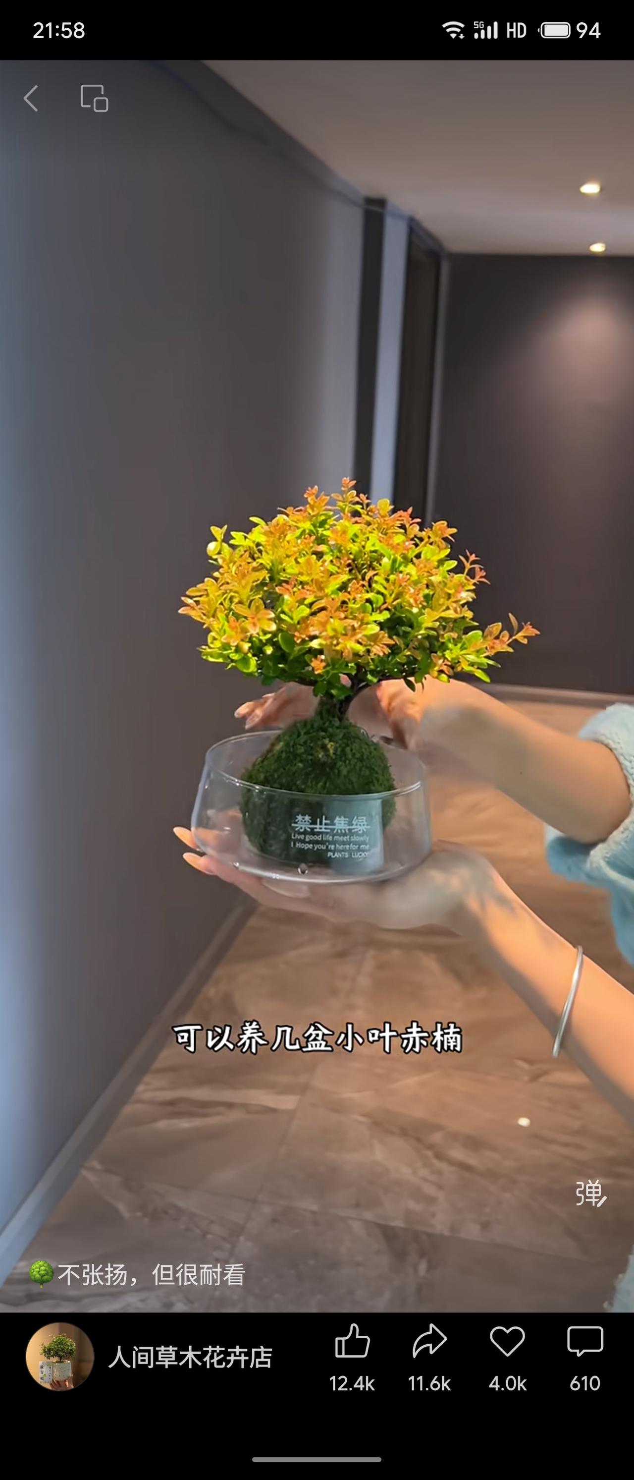 晒图笔记大赛禁止焦绿，推荐养几盆小叶赤楠，形容其不张扬但耐看，文案传递慢生活与好