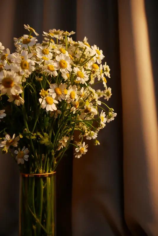 春日生活打卡季 春日生活打卡季来啦！别再羡慕别人朋友圈的春日大片，咱也能低成本过