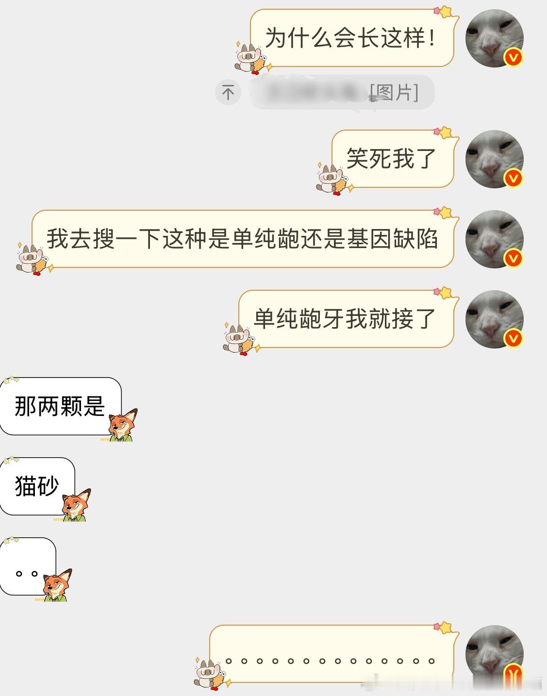 49806【丑猫】丑 