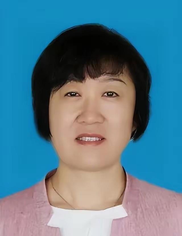 吴彬被查了。在她出事之前，这份简历拿出去是能让人多看两眼的。1970年生，工学博