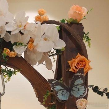 每日一善您好先生一起保护大自然与社会携手做公益关爱唇腭裂儿童关心小动物的生存关怀