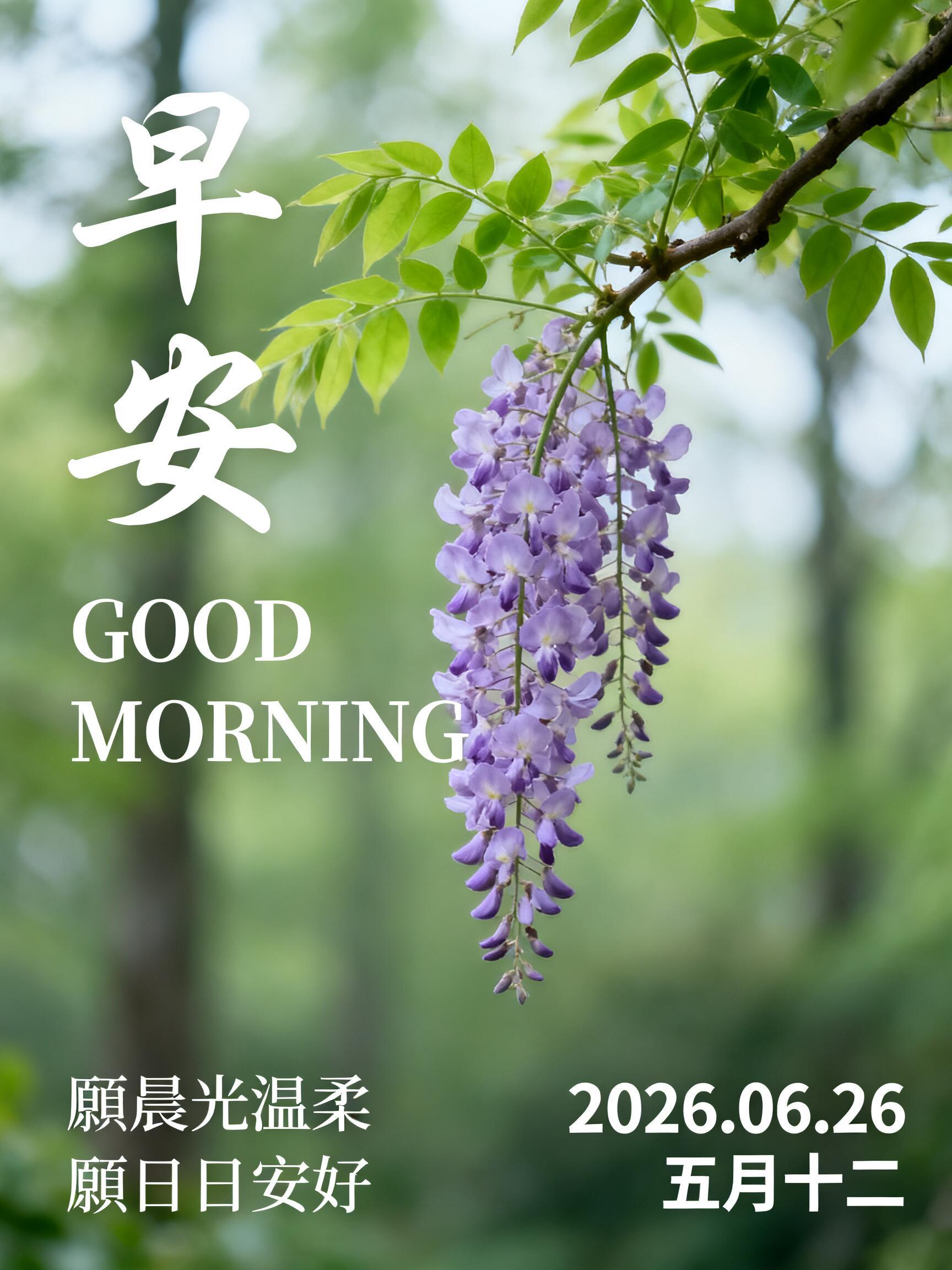 2026.6.26周五早安祝福图片壁纸拿图吱一声噢～ 