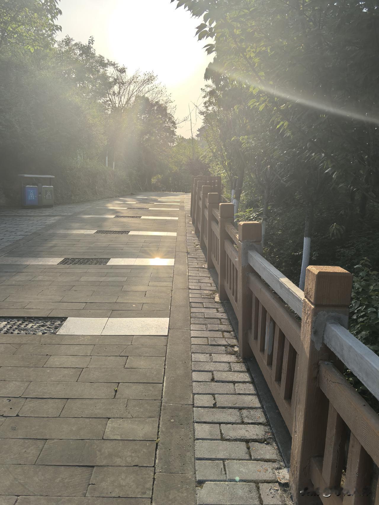 早上的阳光透过树缝斜斜地射下来，地上有斑驳的光影，这是上山的路，慢慢地走过来，留