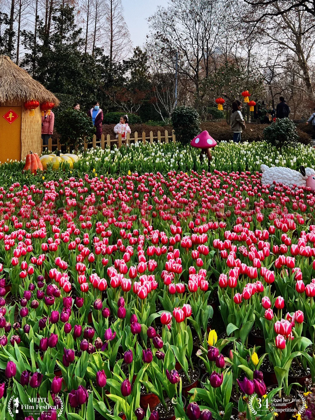 真绝‼️2月来武汉去这6个郁金香景点🔥附花期