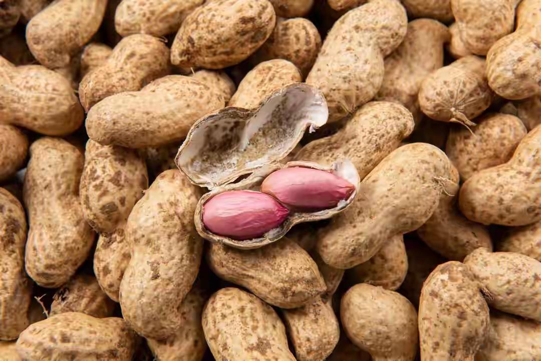 花生被关注！调查发现：糖尿病常吃花生，不出半年或有6个好处

花生被关注！调查发