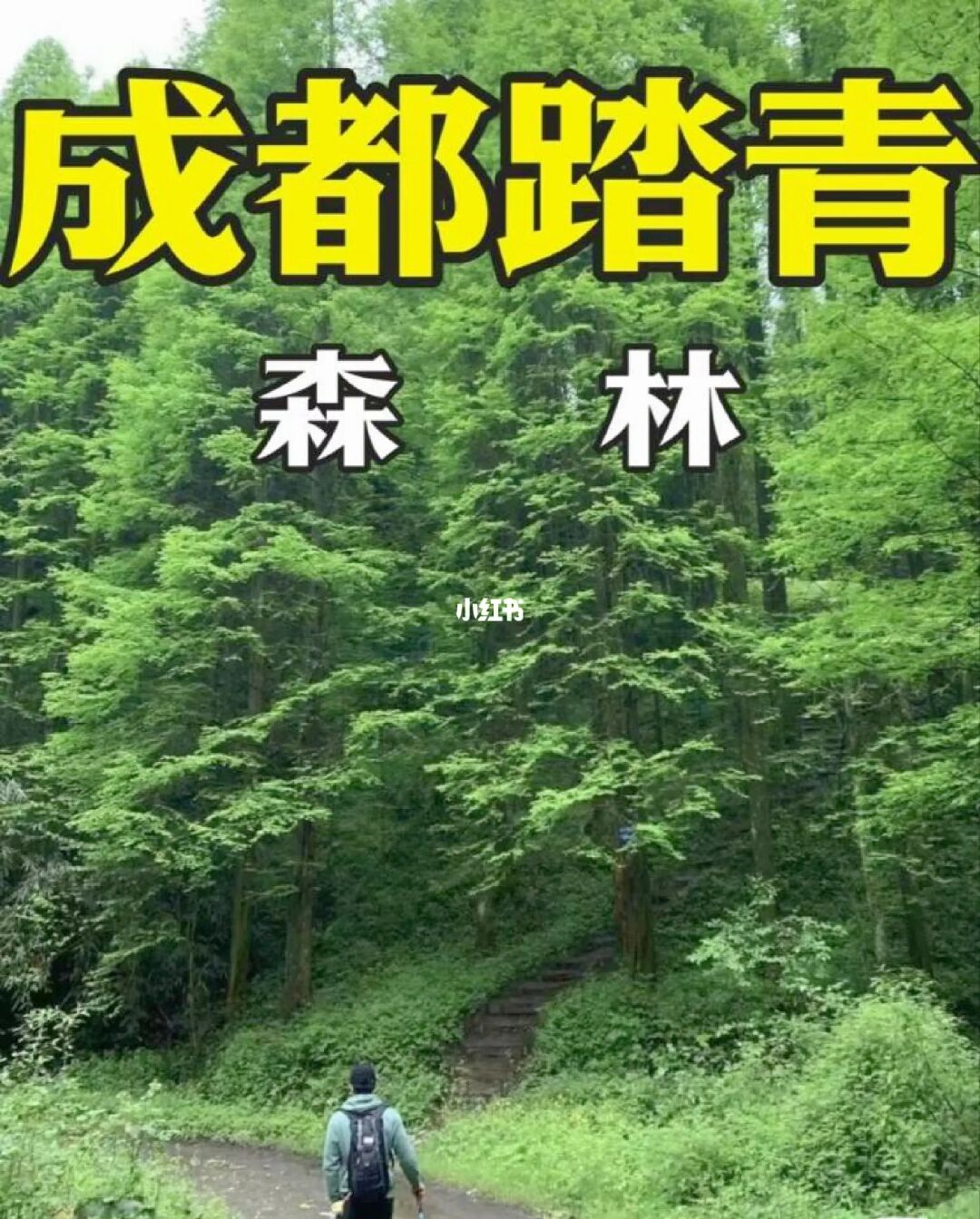 国庆徒步❤️小白必打卡路线54条一日往返
