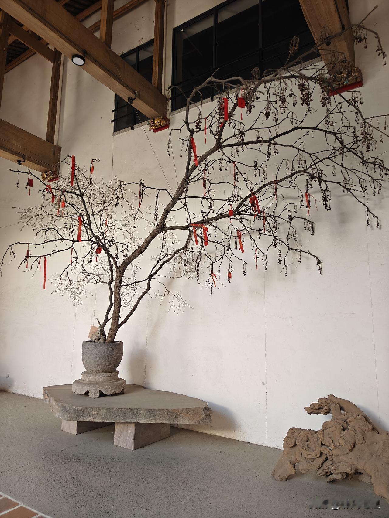 前天去了一次汤头温水乡景色觉得不错！今天带着老婆孩子也来逛逛！

上次和朋友一起