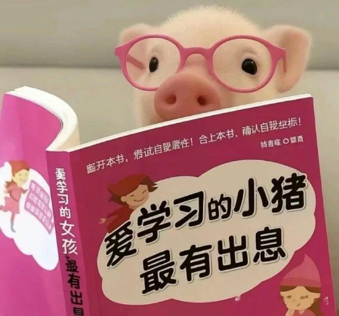 有没有懂卷发棒的姐妹，求一个新手友好，40mm大卷，不容易烫着人操作又方便的，求