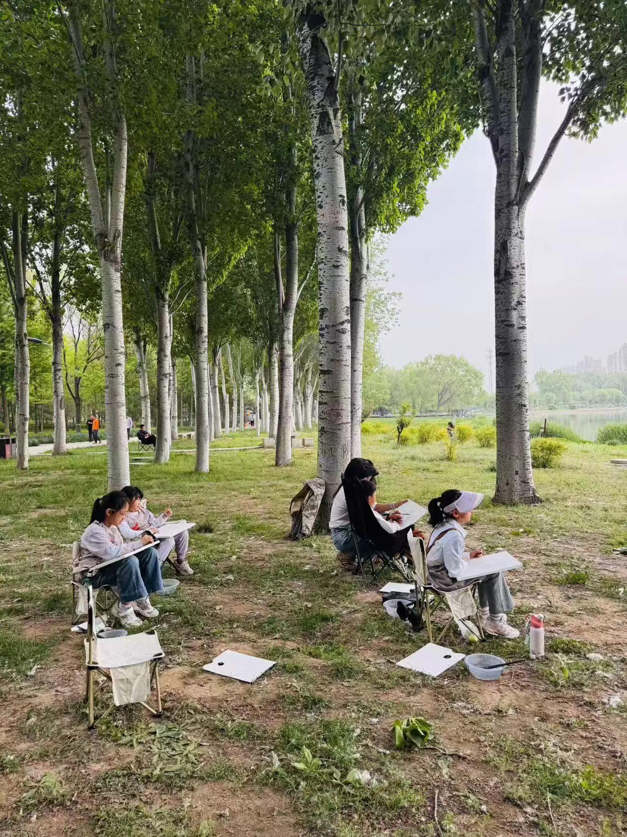 阳光轻柔地洒在广袤的野外，五彩斑斓的花朵肆意绽放，微风拂过，草浪轻轻翻滚。

一