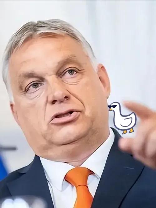 就在刚刚
匈牙利总理公开宣布
11月4日，匈牙利总理欧尔班在社交媒体公开宣布：匈