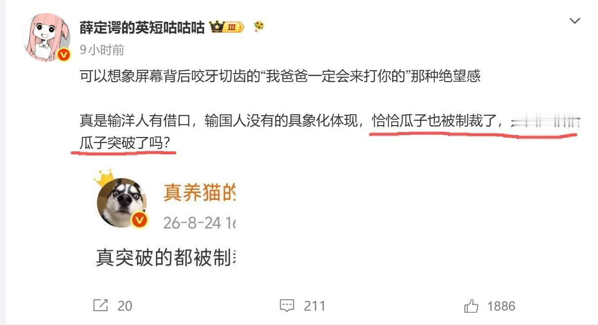 洽洽瓜子被美国制裁的核心原因是其供应链涉及新疆地区，被美方无端指控存在“强迫劳动