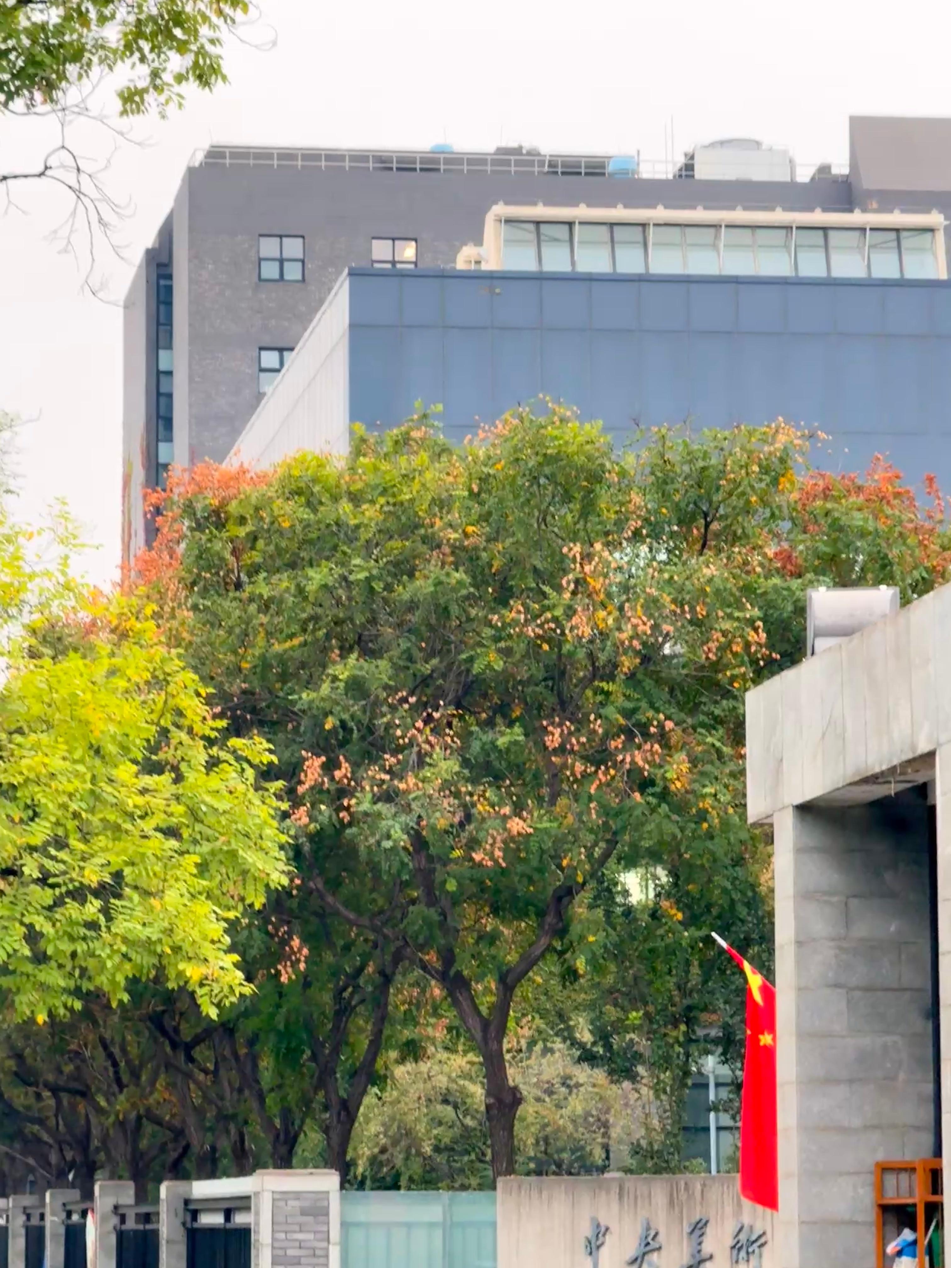 我的季节要来了！！！秋天 ​​​