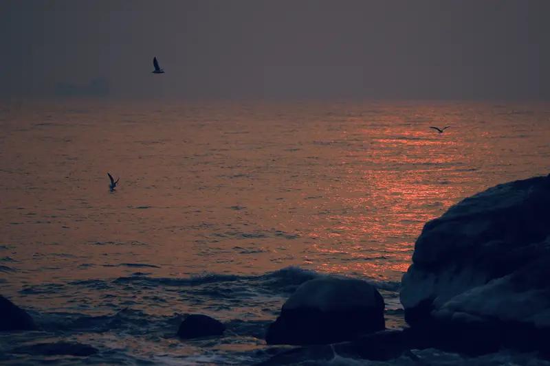 动作片从“神”到“人”的转变相当成功。上世纪八九十年代，史泰龙和施瓦辛格这类“超