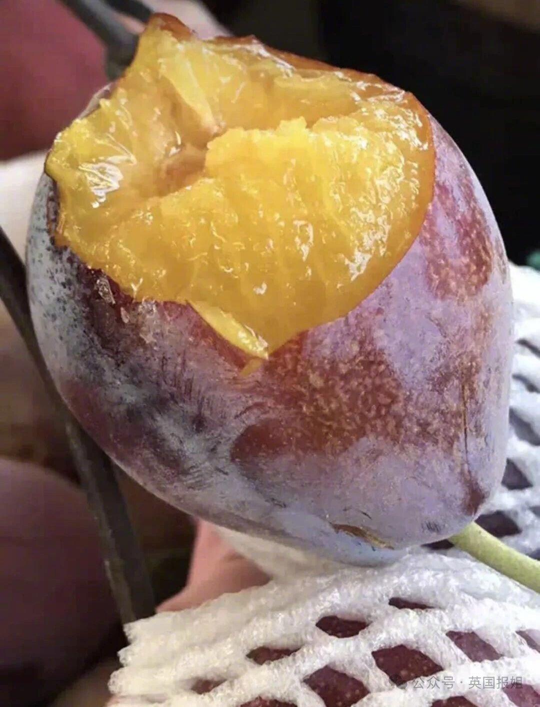 8月底正是吃西梅的好时候！西梅天花板正宗新疆伽师法兰西西梅每一颗都是皮薄、多汁！