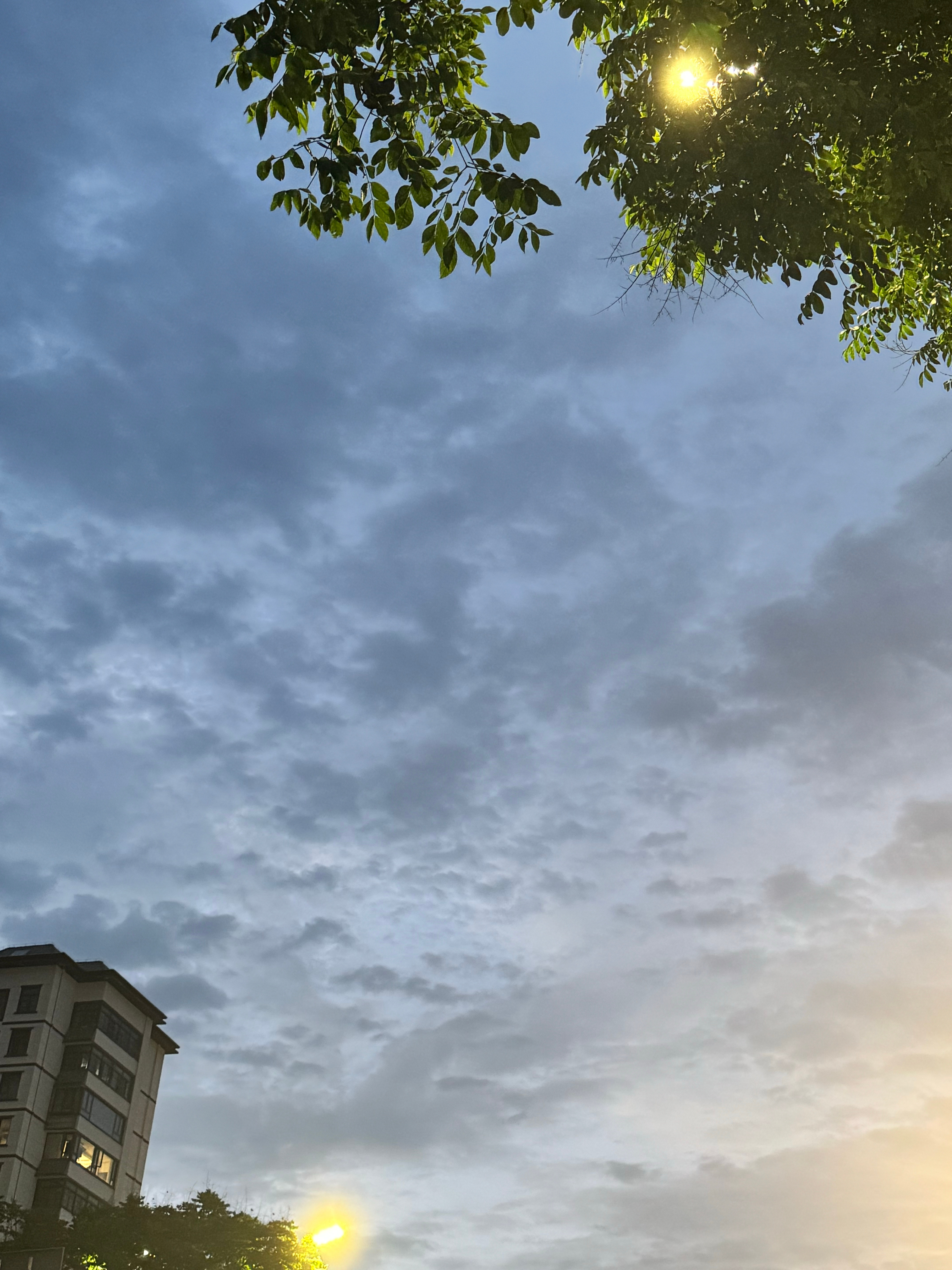 天空好像一副油墨画🖼️晕染出深浅不一的蓝调层次 