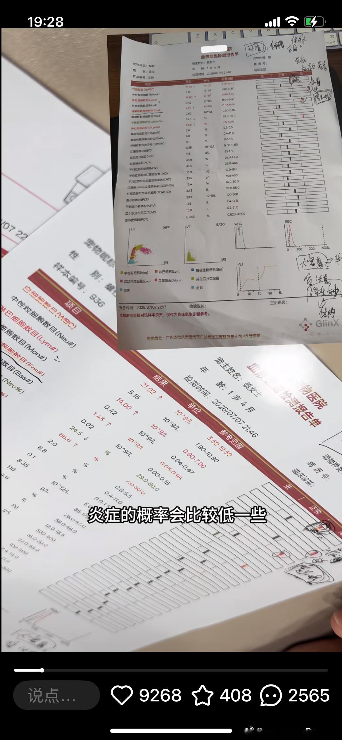 邦邦一只一岁的小猫体检单这个样子，宝宝狗十几岁了体检单数值都维持在全正常的范围内