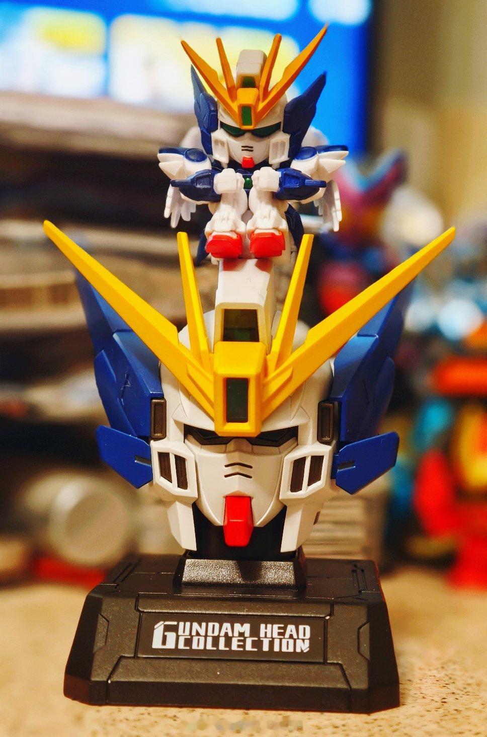 掉毛YYDS 