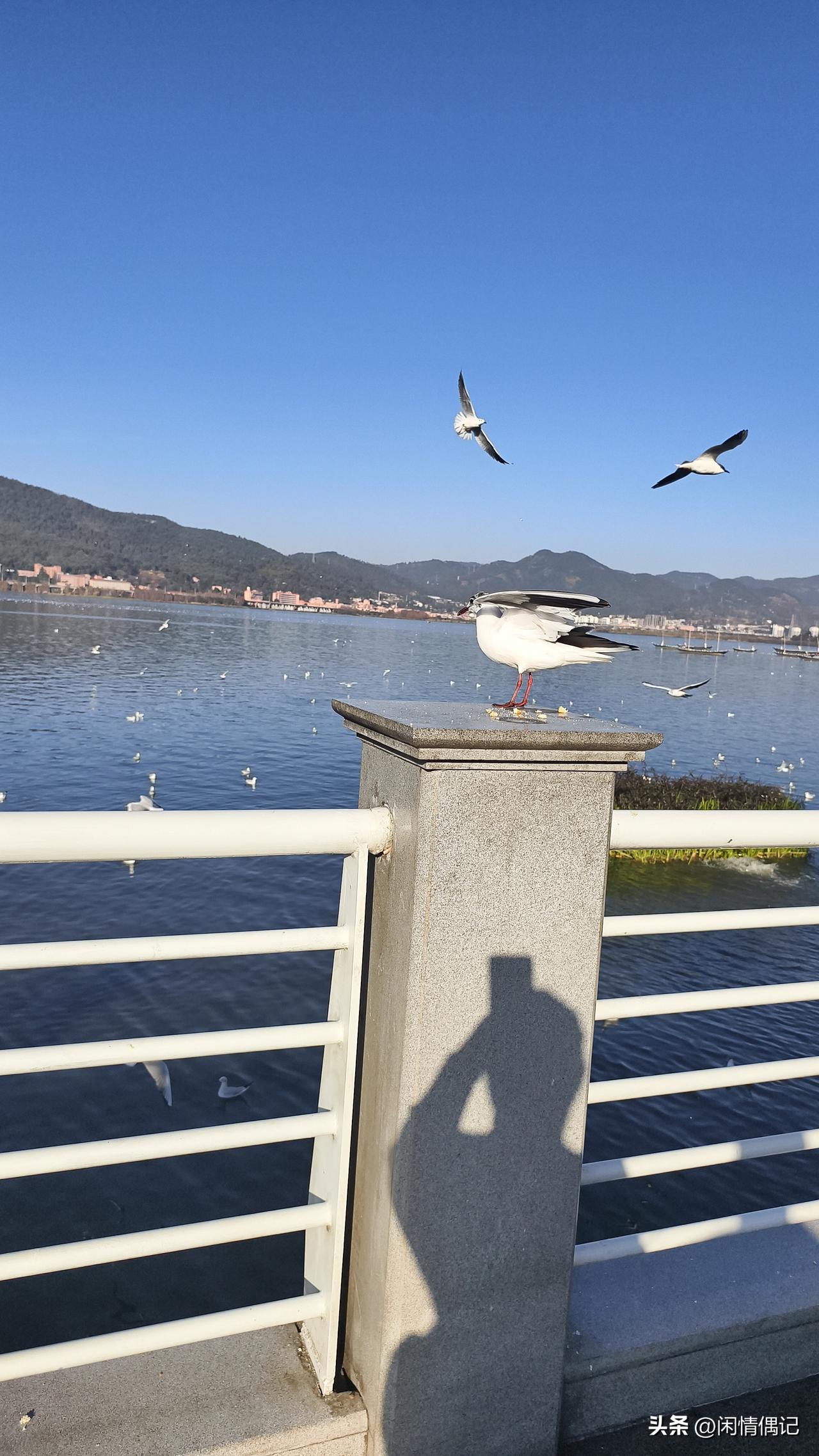 过年这段时间走亲戚、见朋友，算是彻底看明白了：人活到一定岁数，最该学会的本事，就