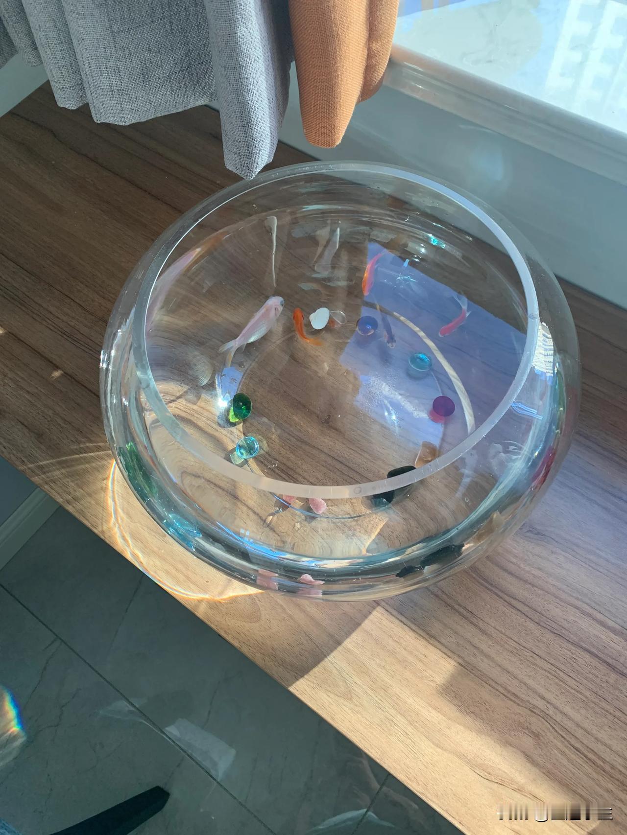 准备创办我的视频频道