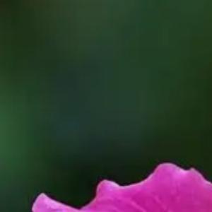 每日一善每日一善 人生苦短，何不淡然。看透的人，处处是生机；看不透的人，处处是困