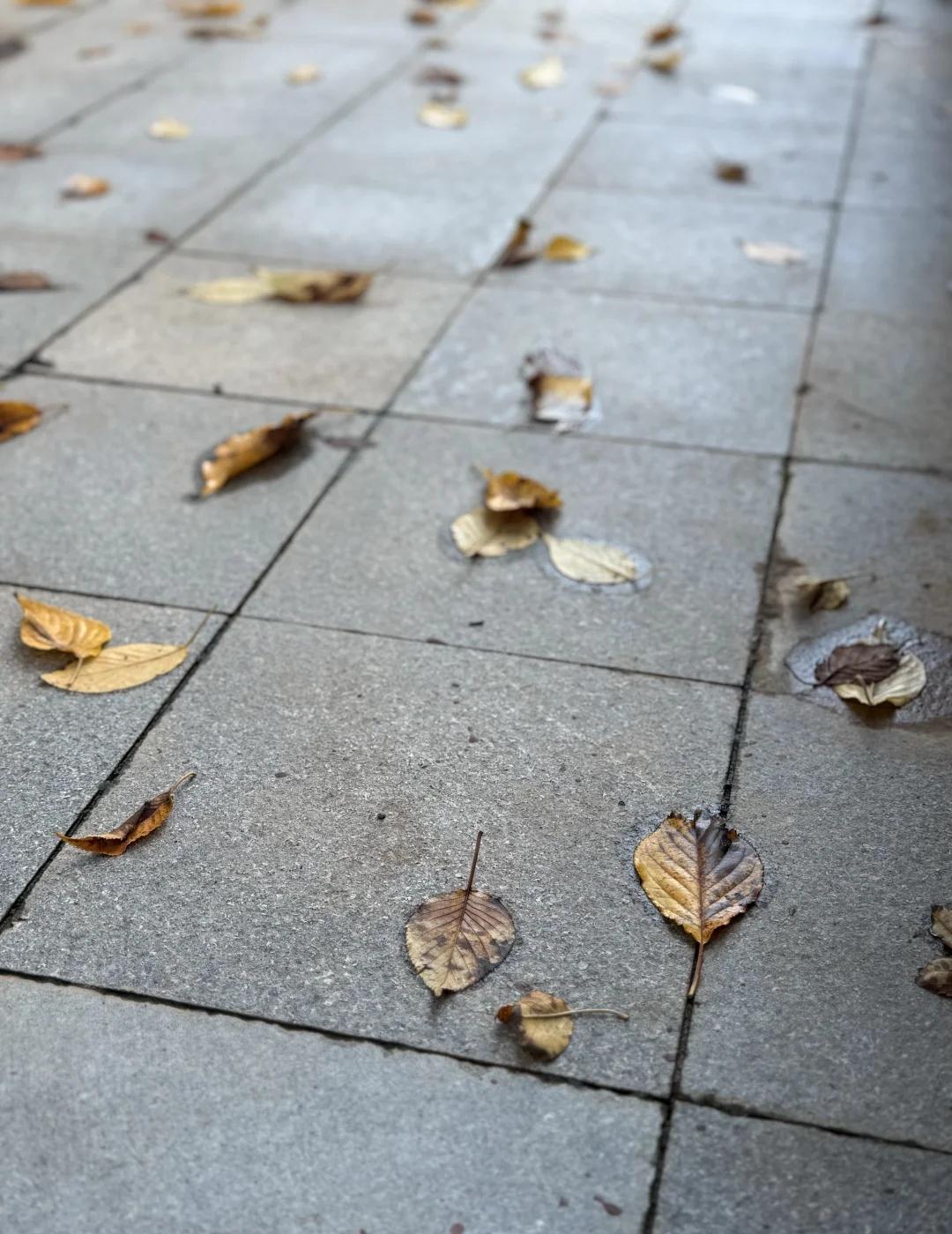 亲爱的老师 昨晚梦到你
昨天做梦梦见地理老师，梦见她让我去办公室帮她拿东西。她说