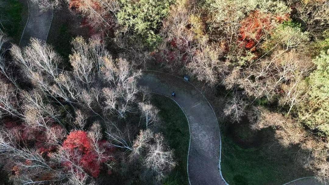 #青春向北热爱有光#【看到这波秋色，你还能忍住不出发？】随着秋季的深入，沈阳世博