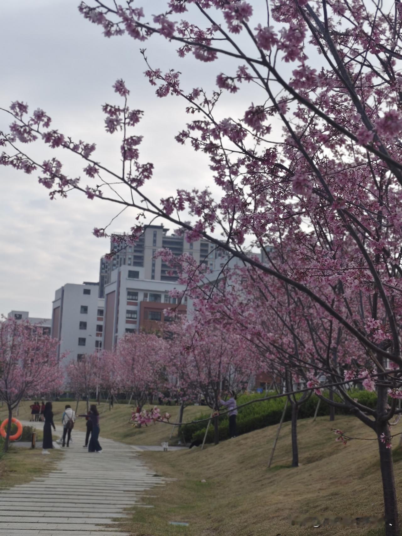 一年四季中哪个季节的景色最美