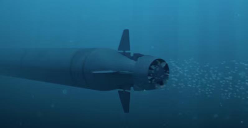 [莫斯科29日路透社]-俄罗斯总统普京29日表示，搭载核武器的核鱼雷“波塞冬”试