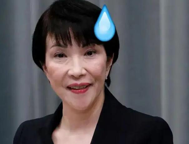 日本这波操作，摆明了不太欢迎中国游客。

 政府刚官宣，要大幅上调游客的签证费用