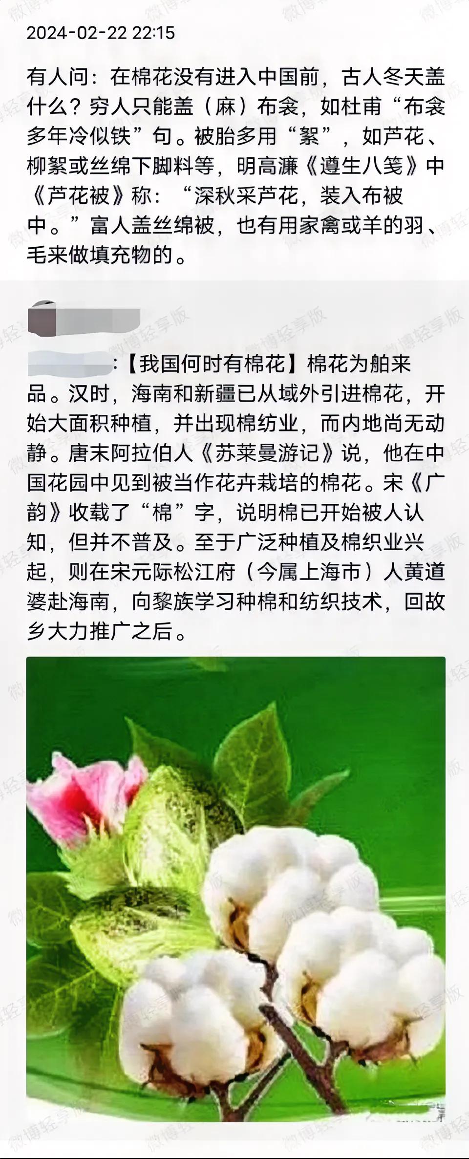 棉花传入中国的历史是这样的