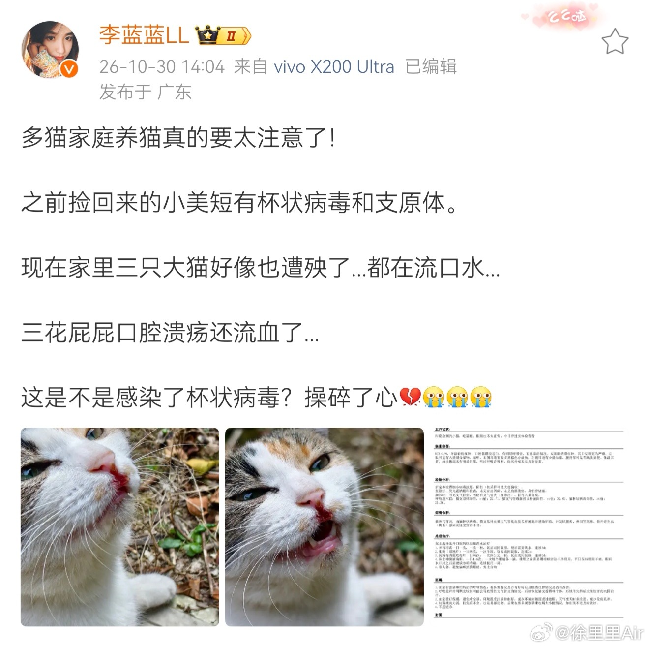 这就是我以前说的。不加思辨的善良，有时候反而更加残忍。打个比方。你在非洲大草原遇