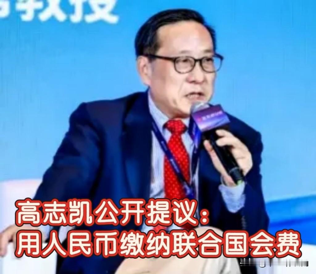 高志凯一句话点醒众人！
缴纳联合国会费，为啥不能直接用人民币？

高志凯这话太戳