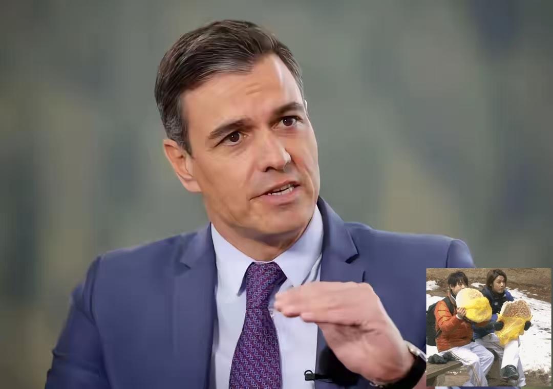 为西班牙点赞！西班牙首相桑切斯宣布，将在明天21日欧盟外长会上，正式要求欧盟，终