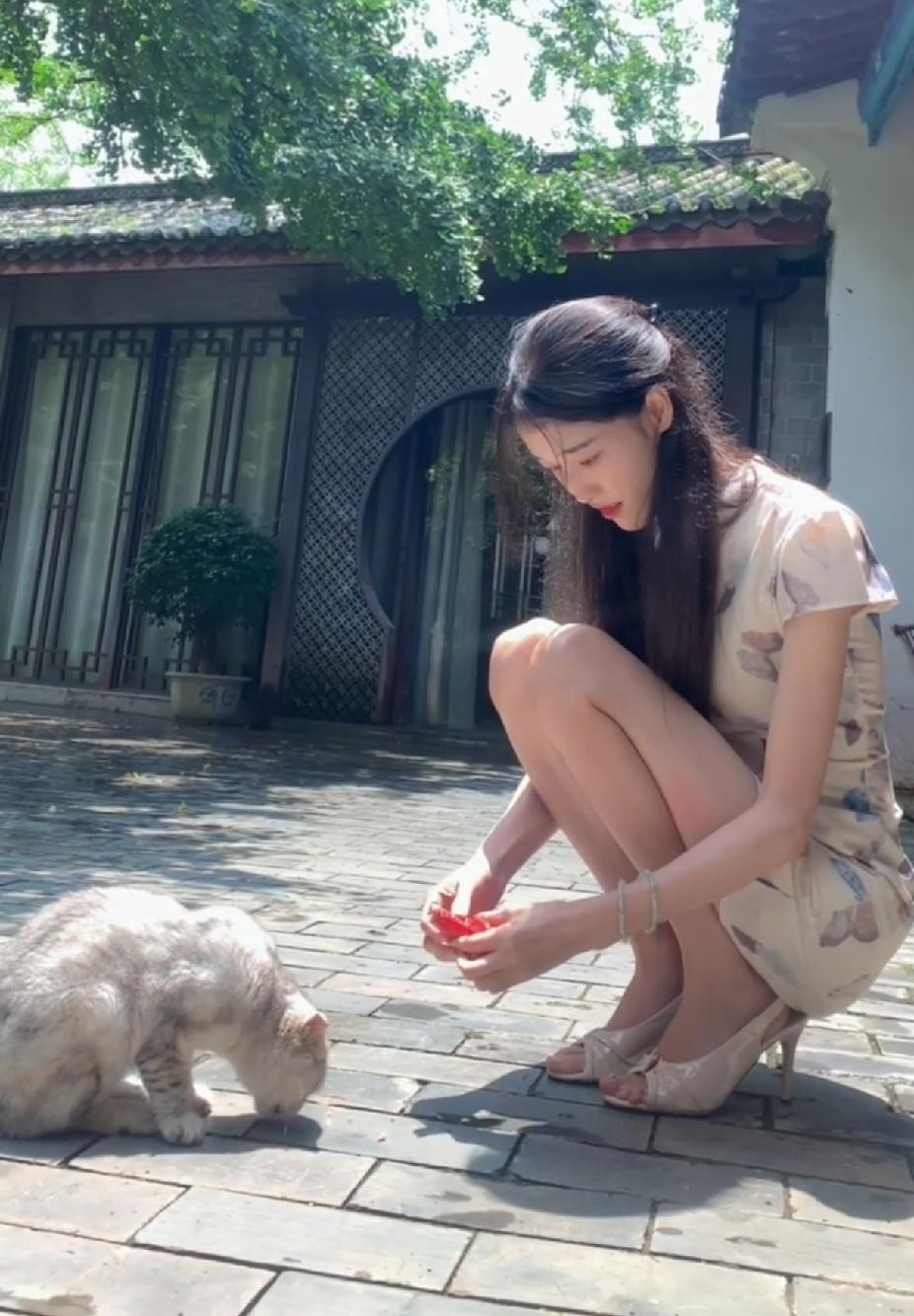 公园一角，人美心善的陌生小姐姐正在喂流浪猫火腿肠，点赞👍🏻