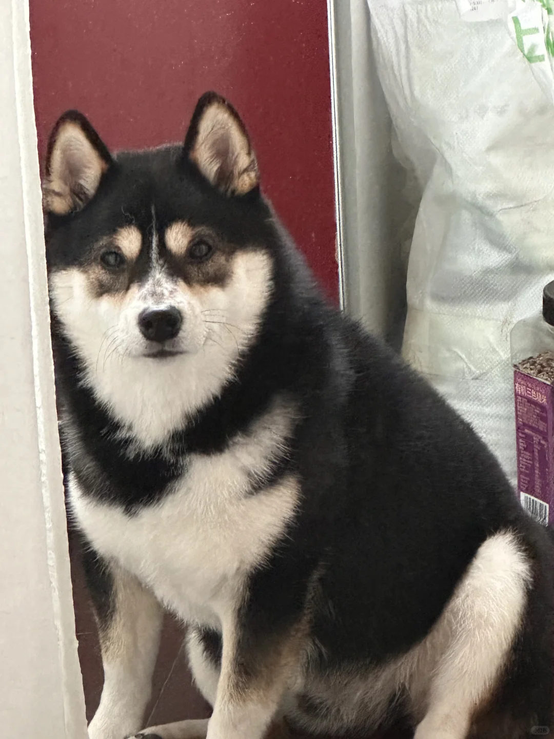 曾经我也是个少年