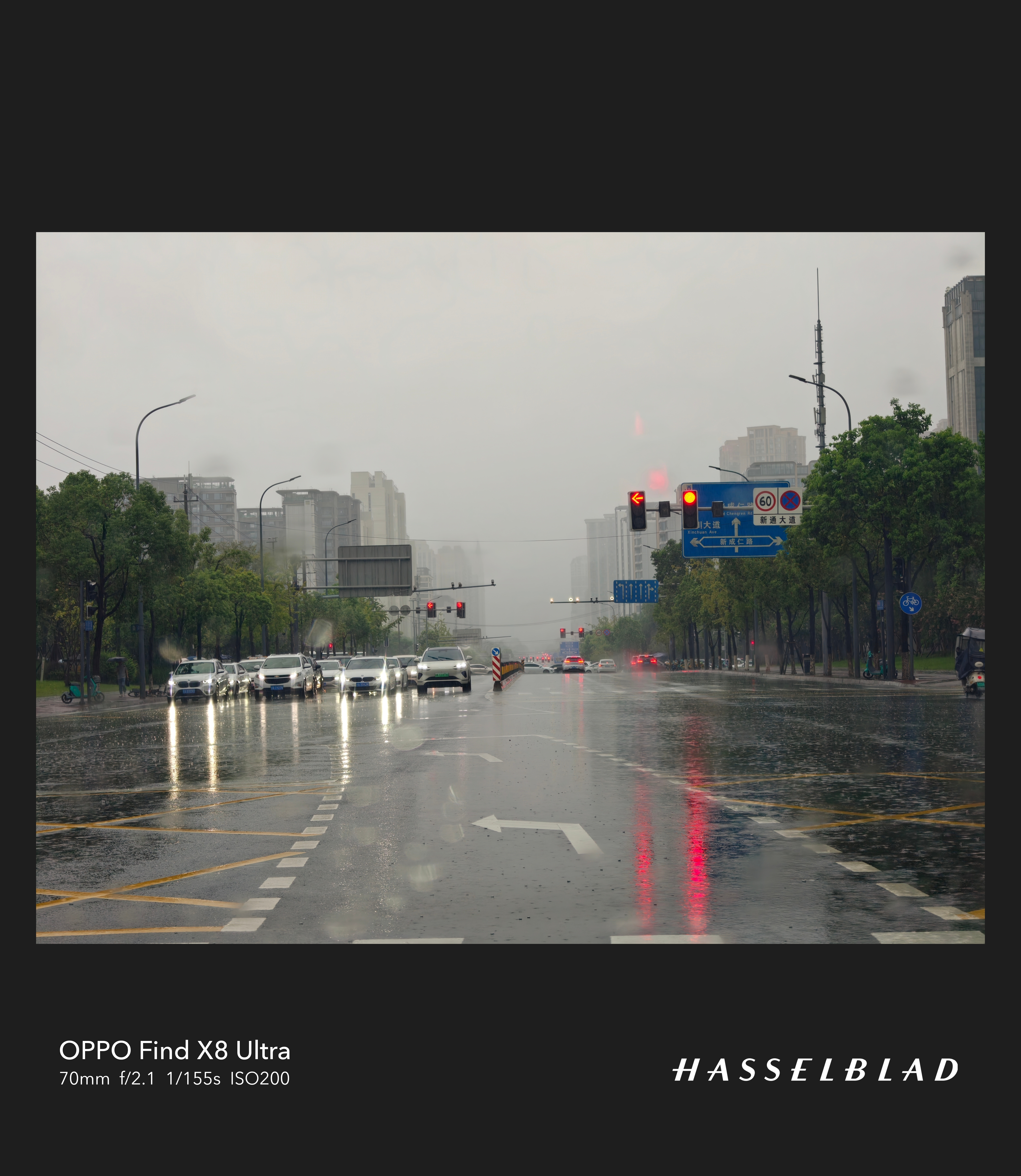 下了两场大雨，一下变得好凉快秋天要来了? 成都