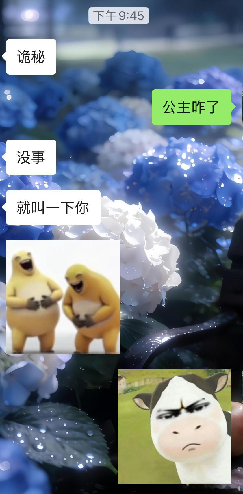 公主到底咋了