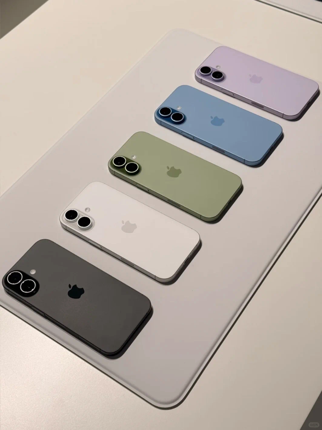 今年iPhone17标准版的配色真的没有一个是丑的，全都挺好看的，就是黑白色普通