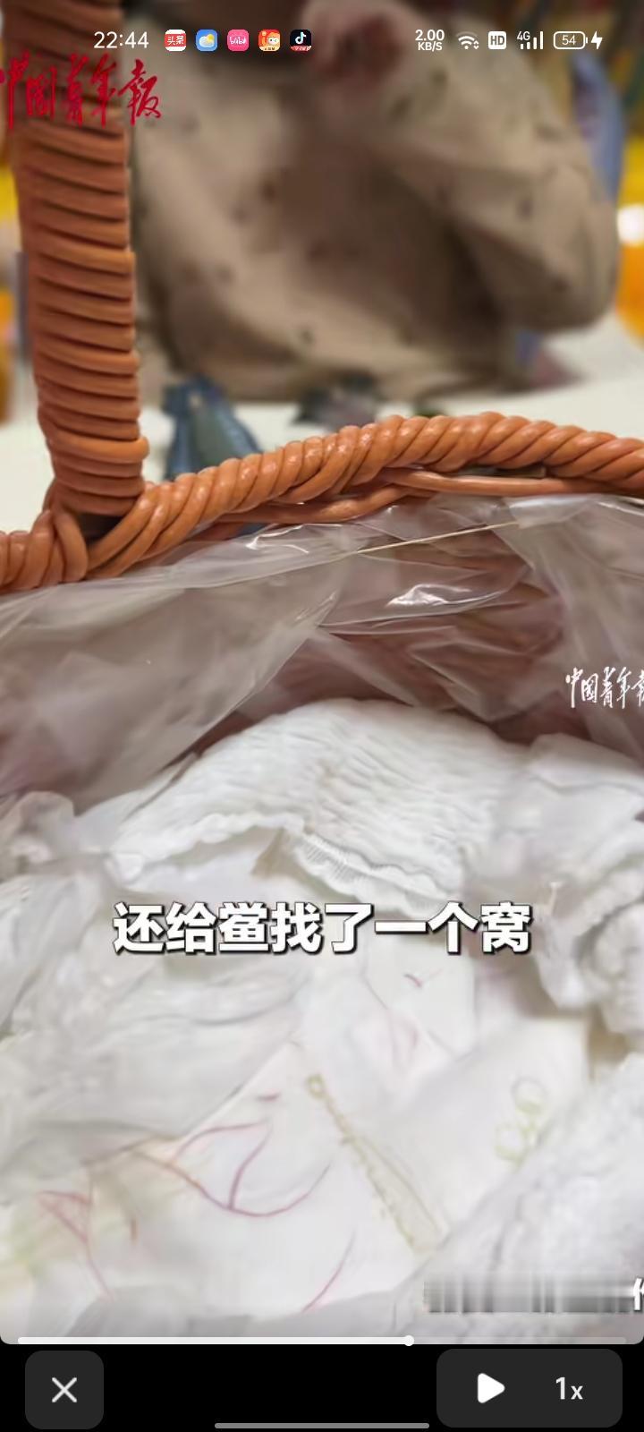 10月5日，山东临沂。网友发视频称，三岁多女孩热衷于海洋生物玩具，各种海洋生物名