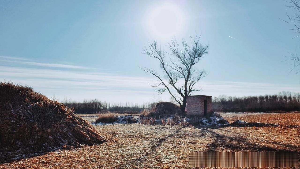 或许，做一个稻草人也足矣。看着白日里的光芒逐渐褪去，只有在夜晚，清冷的月光拥抱着